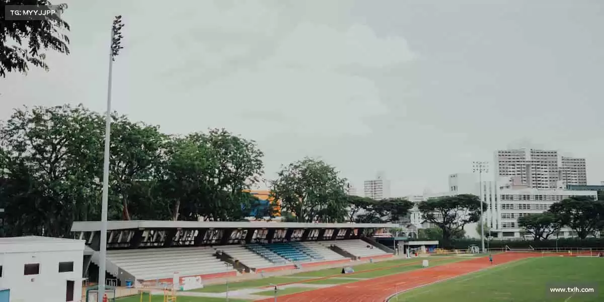 行业领先的理由